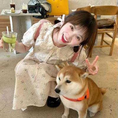 哈比王传奇